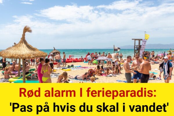 Rød alarm I ferieparadis: 'Pas på hvis du skal i vandet'