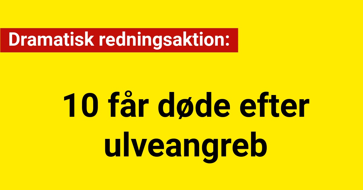 Dramatisk redningsaktion: 10 får døde efter ulveangreb