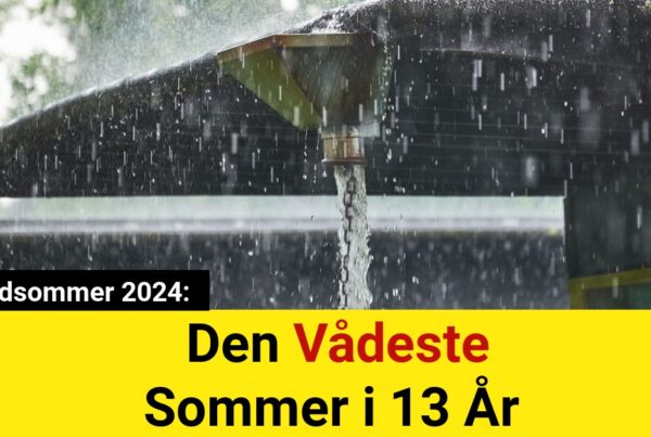 Rekordsommer 2024: Den Vådeste Sommer i 13 År