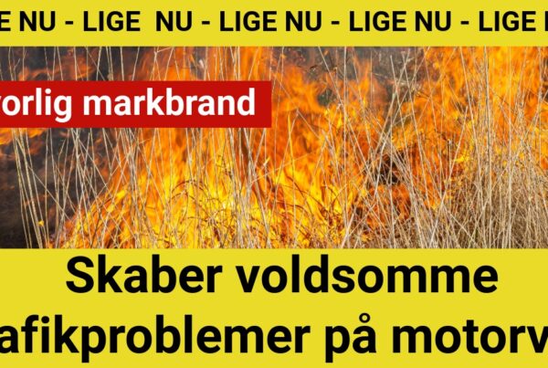LIGE NU: Alvorlig markbrand skaber trafikproblemer på motorvej