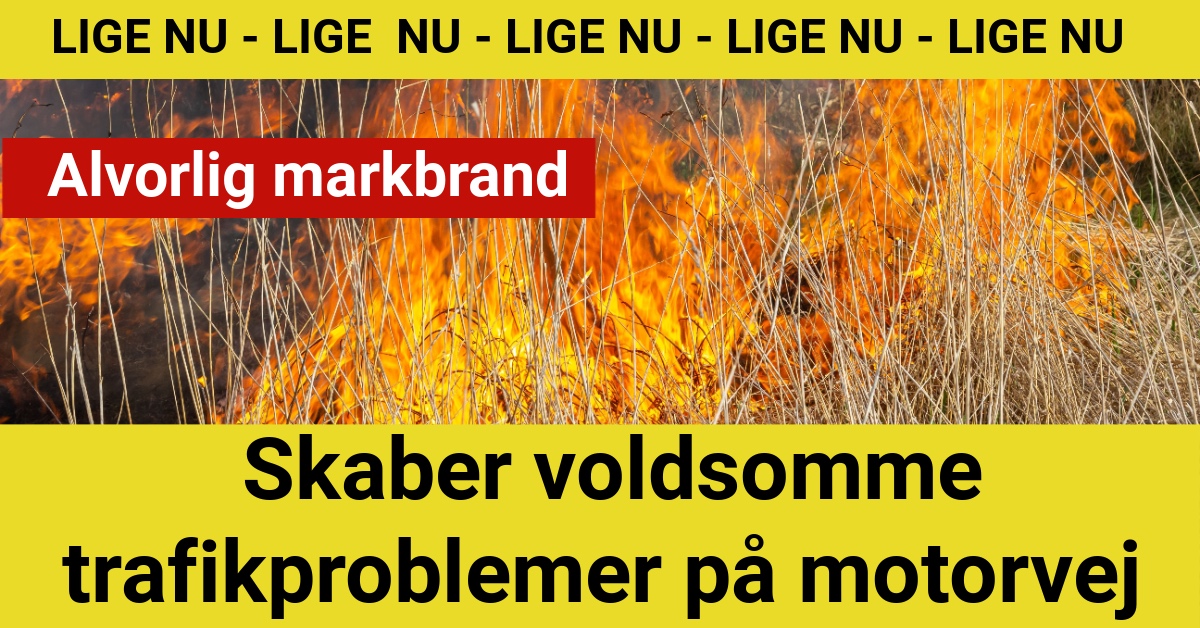 LIGE NU: Alvorlig markbrand skaber trafikproblemer på motorvej