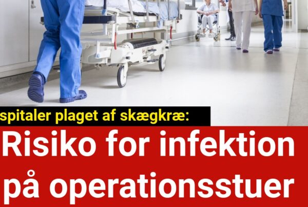 Hospitaler plaget af skægkræ: Risiko for infektion på operationsstuer