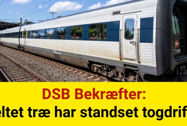 DSB Bekræfter: Væltet træ har standset togdriften