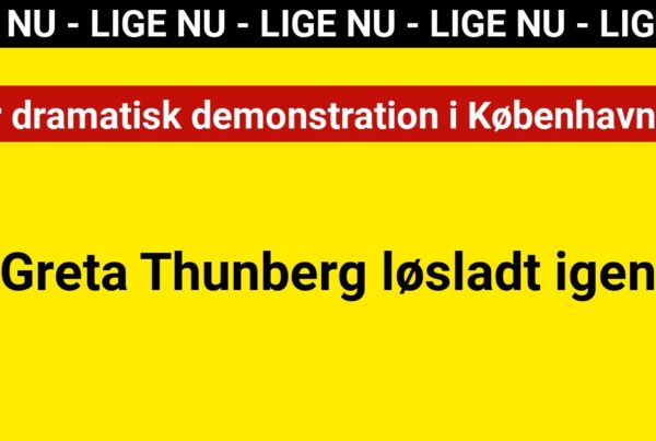 Greta Thunberg løsladt igen efter dramatisk demonstration i København