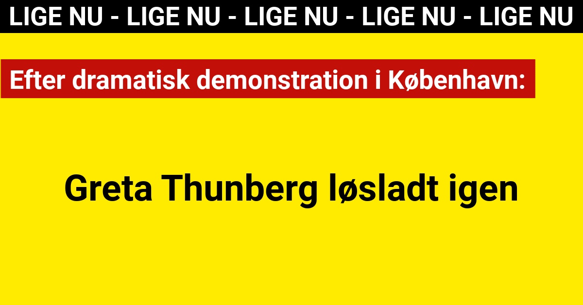 Greta Thunberg løsladt igen efter dramatisk demonstration i København