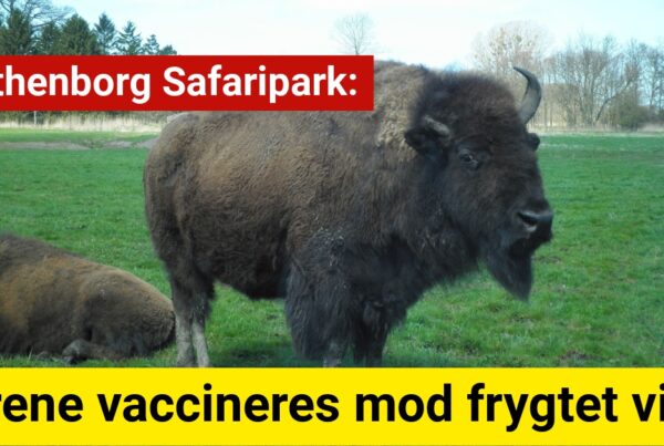 Knuthenborg Safaripark: