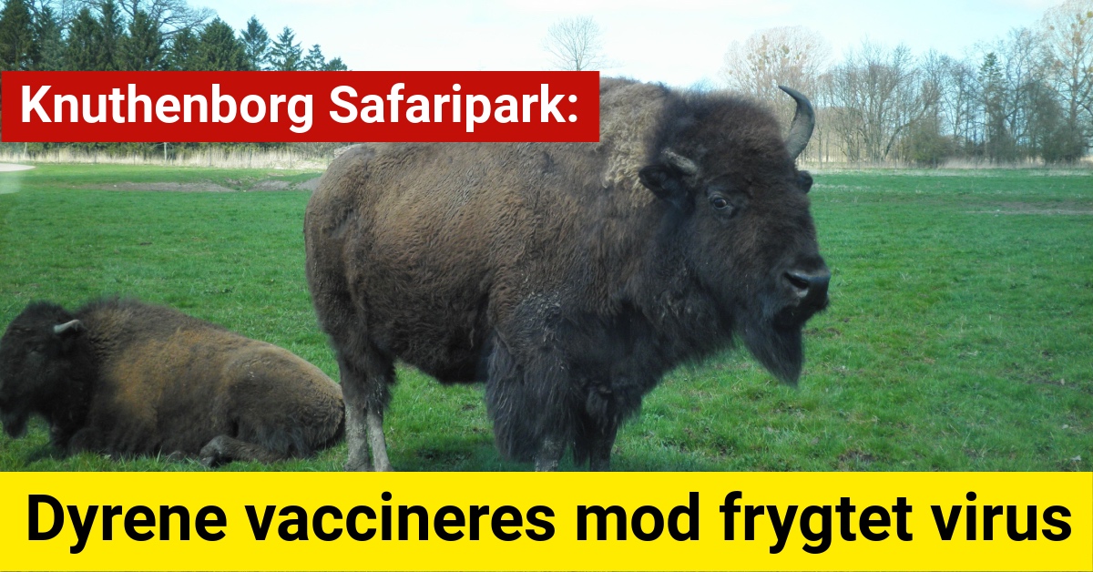 Knuthenborg Safaripark: