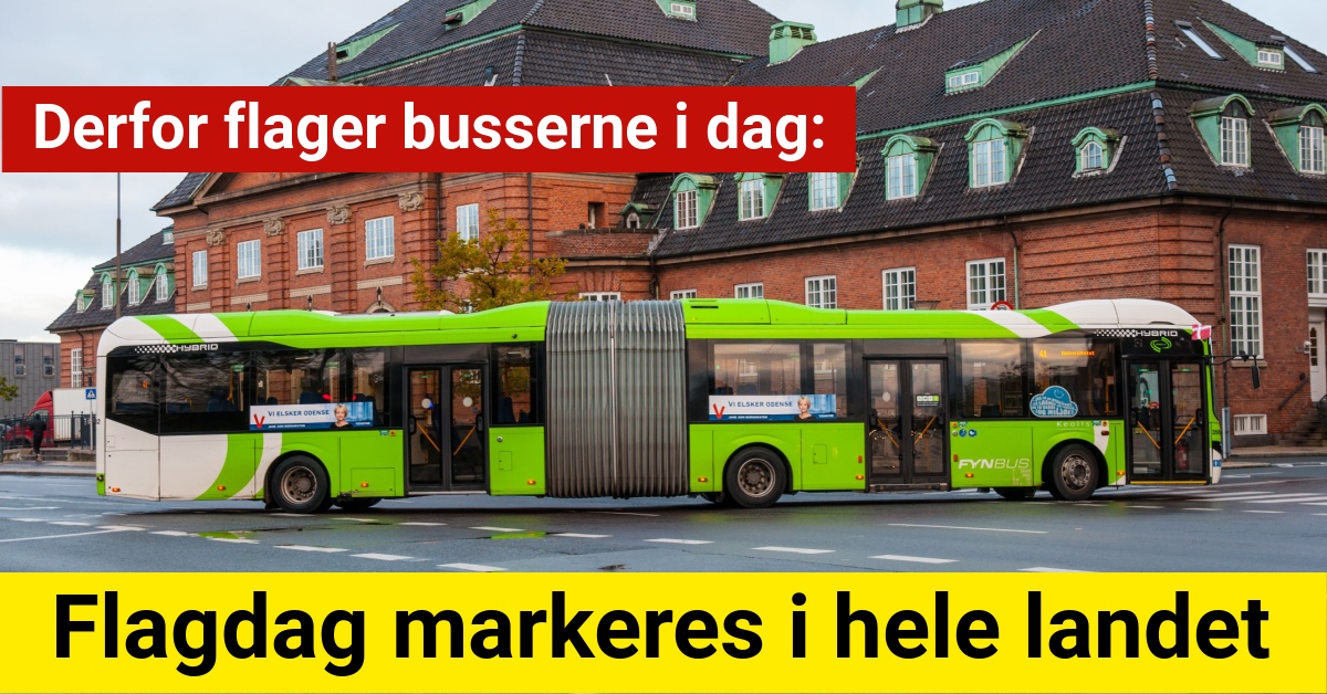 Flagdag markeres i hele landet: Derfor flager busserne i dag