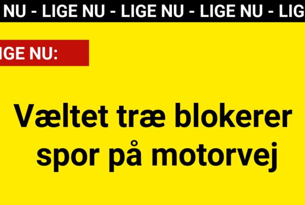 LIGE NU: Væltet træ blokerer spor på motorvej