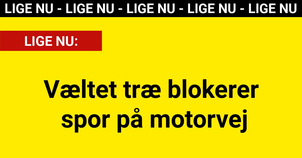 LIGE NU: Væltet træ blokerer spor på motorvej