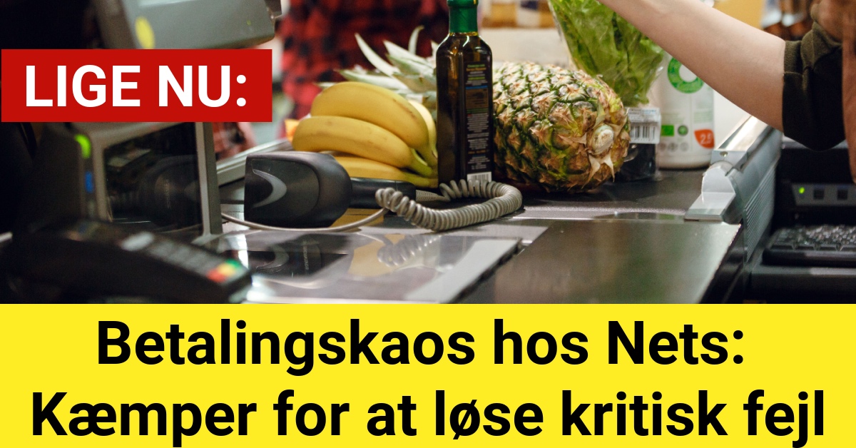 Betalingskaos hos Nets: Kæmper for at løse kritisk fejl