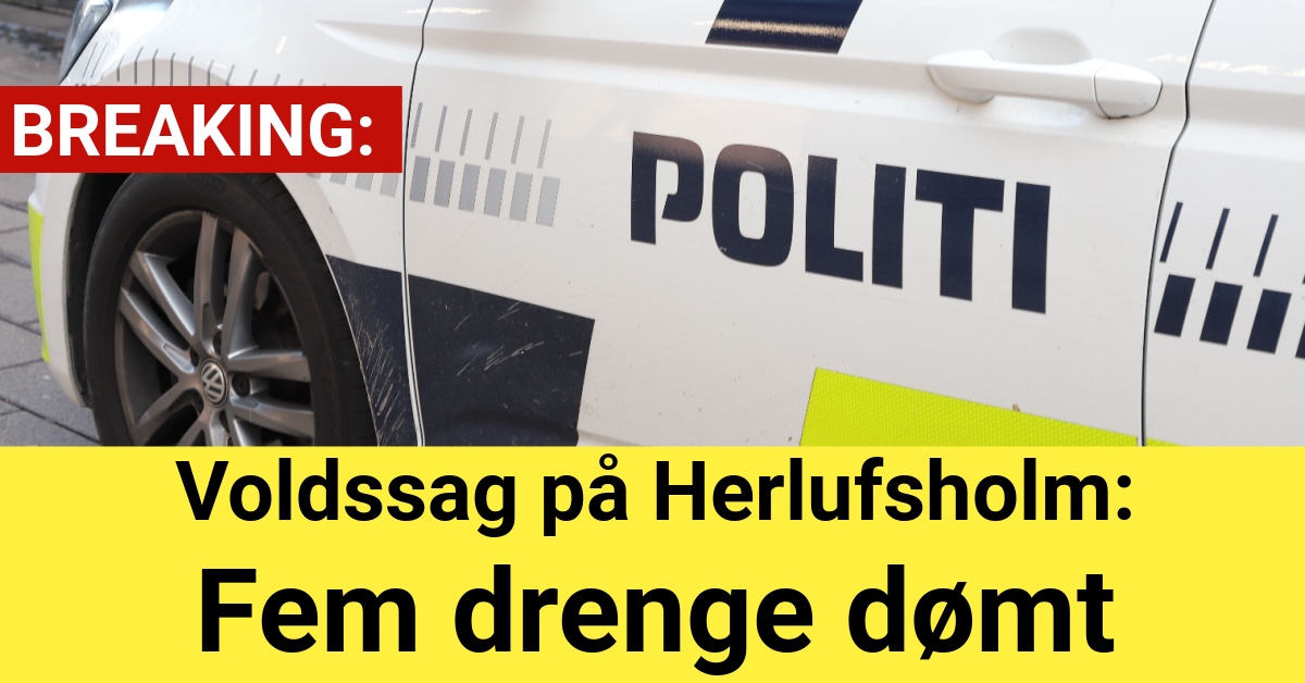 Voldssag på Herlufsholm: Fem drenge dømt