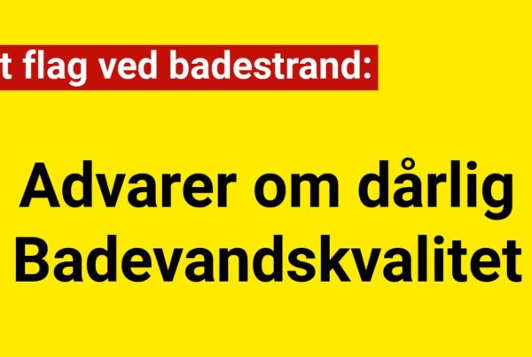 Rødt flag ved badestrand: Advarer om dårlig Badevandskvalitet
