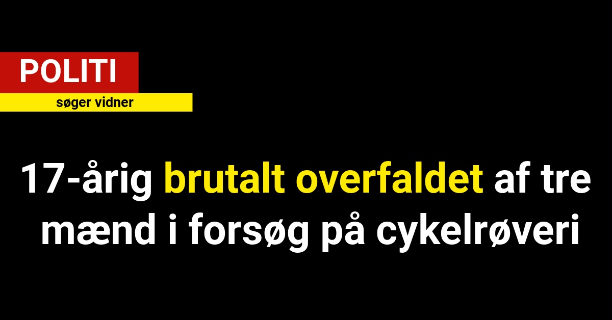 17-årig brutalt overfaldet af tre mænd i forsøg på cykelrøveri