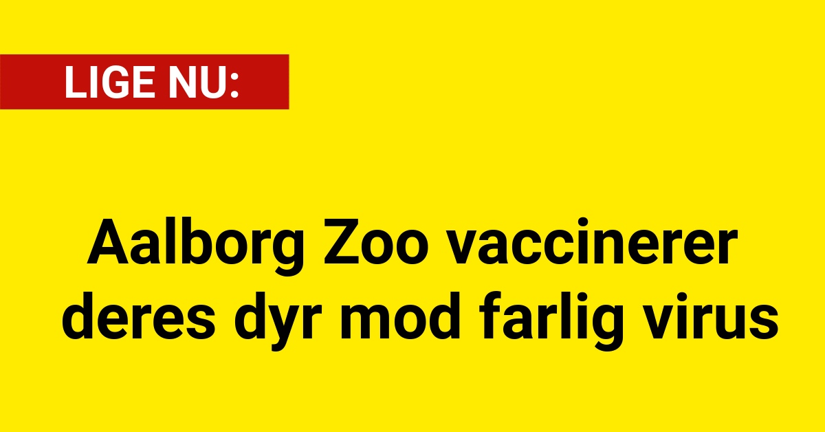 Aalborg Zoo vaccinerer deres dyr mod farlig virus