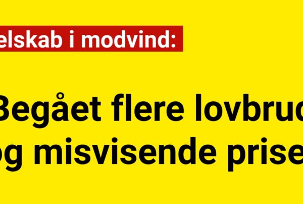 Elselskab i modvind: Begået flere lovbrud og misvisende priser