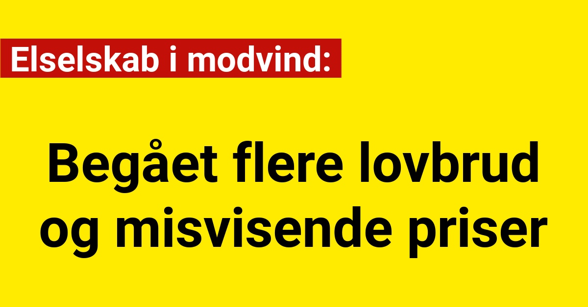 Elselskab i modvind: Begået flere lovbrud og misvisende priser