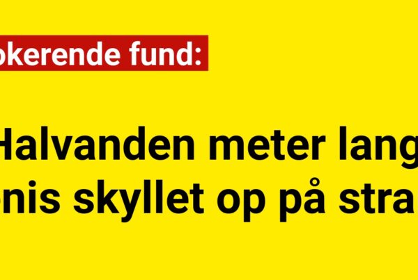 Chokerende fund: Halvanden meter lang penis skyllet op på strand
