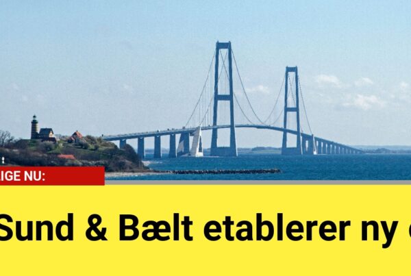 Sund & Bælt etablerer ny ø