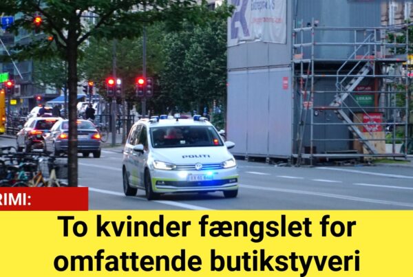 To kvinder fængslet for omfattende butikstyveri