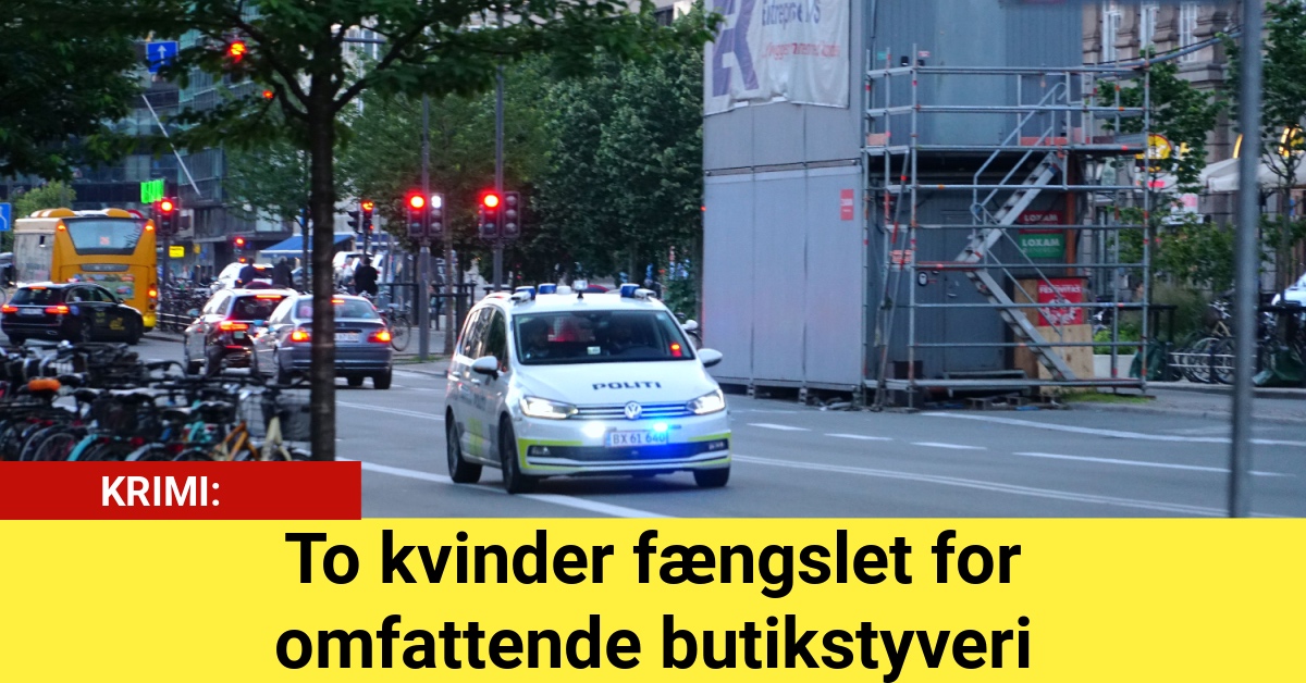 To kvinder fængslet for omfattende butikstyveri