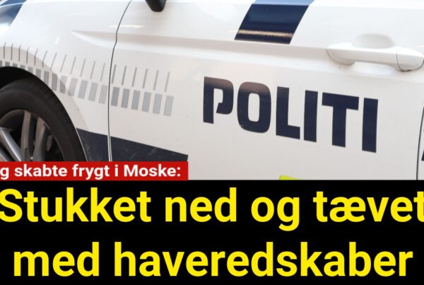27-årig skabte frygt i Moske: Stukket ned og tævet med haveredskaber