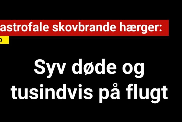 Katastrofale skovbrande hærger: Syv døde og tusindvis på flugt