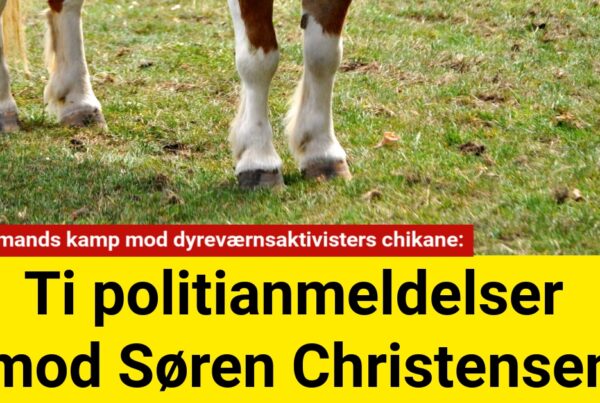 Ti politianmeldelser mod Søren Christensen: En landmands kamp mod dyreværnsaktivisters chikane