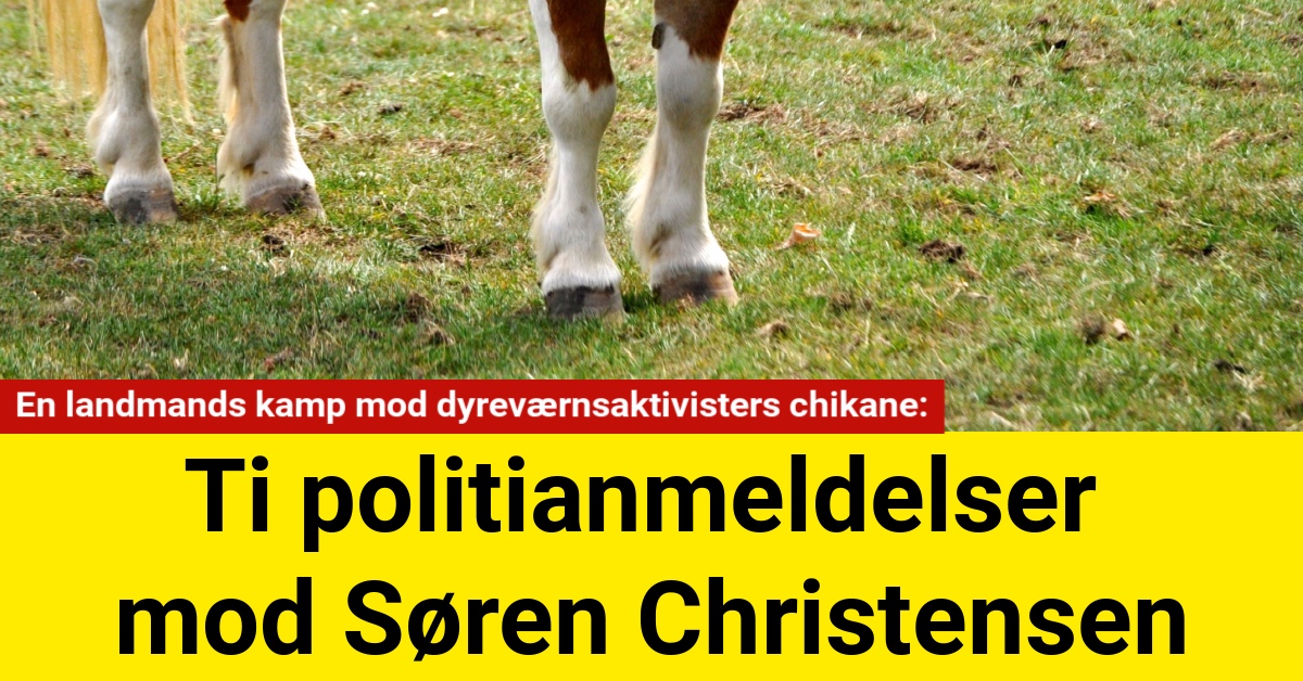 Ti politianmeldelser mod Søren Christensen: En landmands kamp mod dyreværnsaktivisters chikane