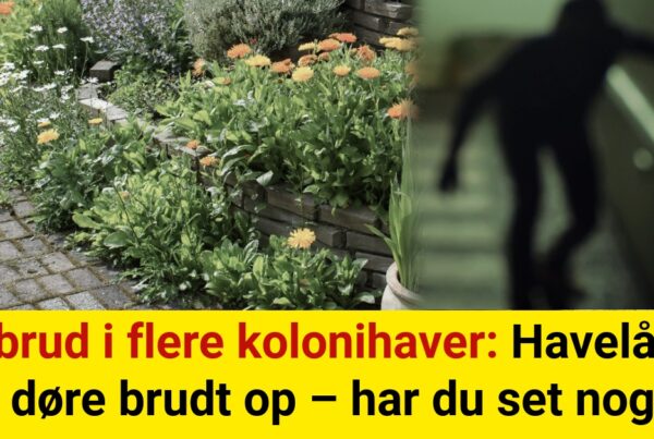 Indbrud i flere kolonihaver: Havelåger og døre brudt op – har du set noget?