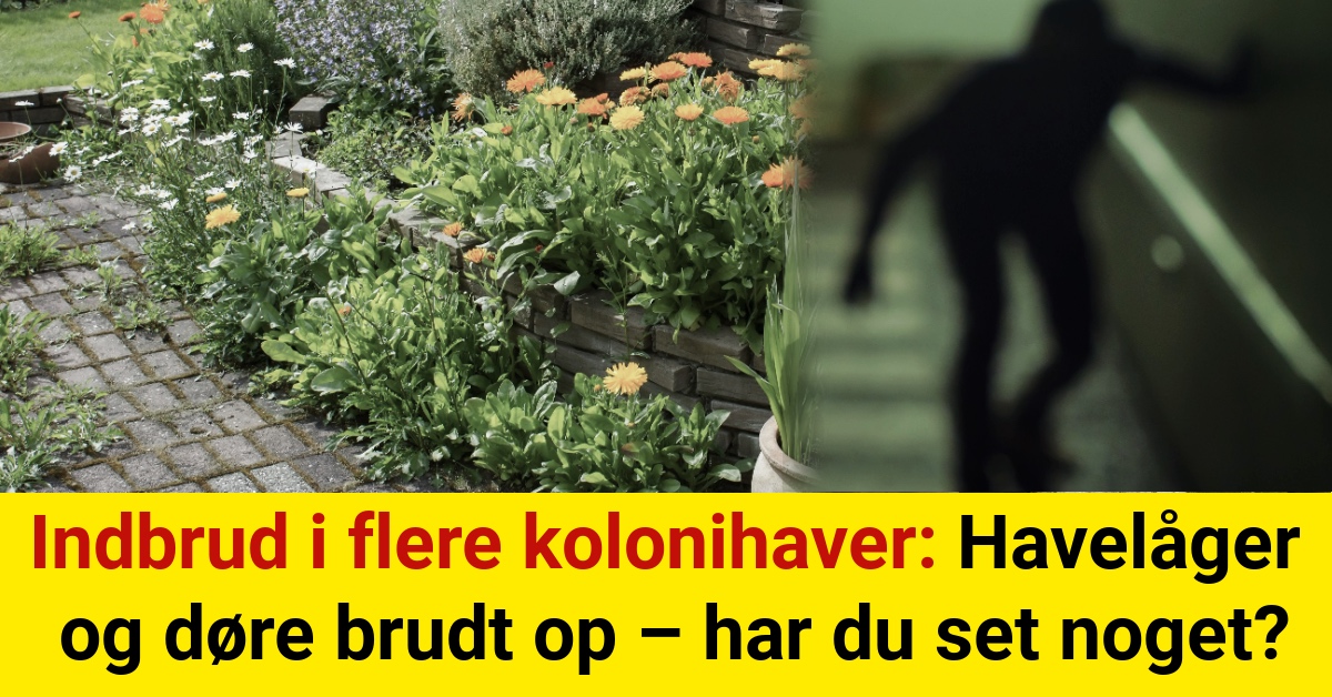 Indbrud i flere kolonihaver: Havelåger og døre brudt op – har du set noget?