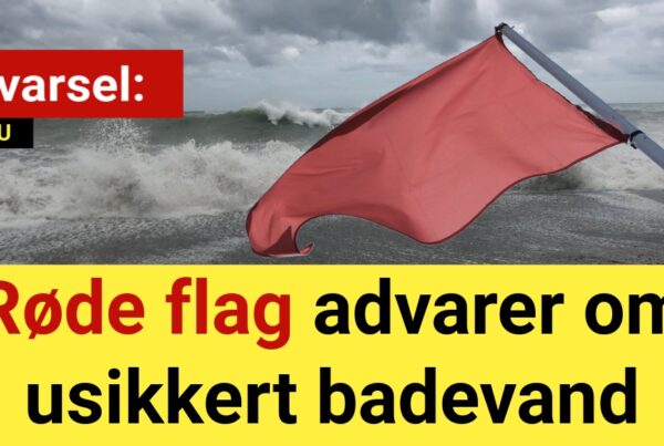 Advarsel: Røde flag advarer om usikkert badevand