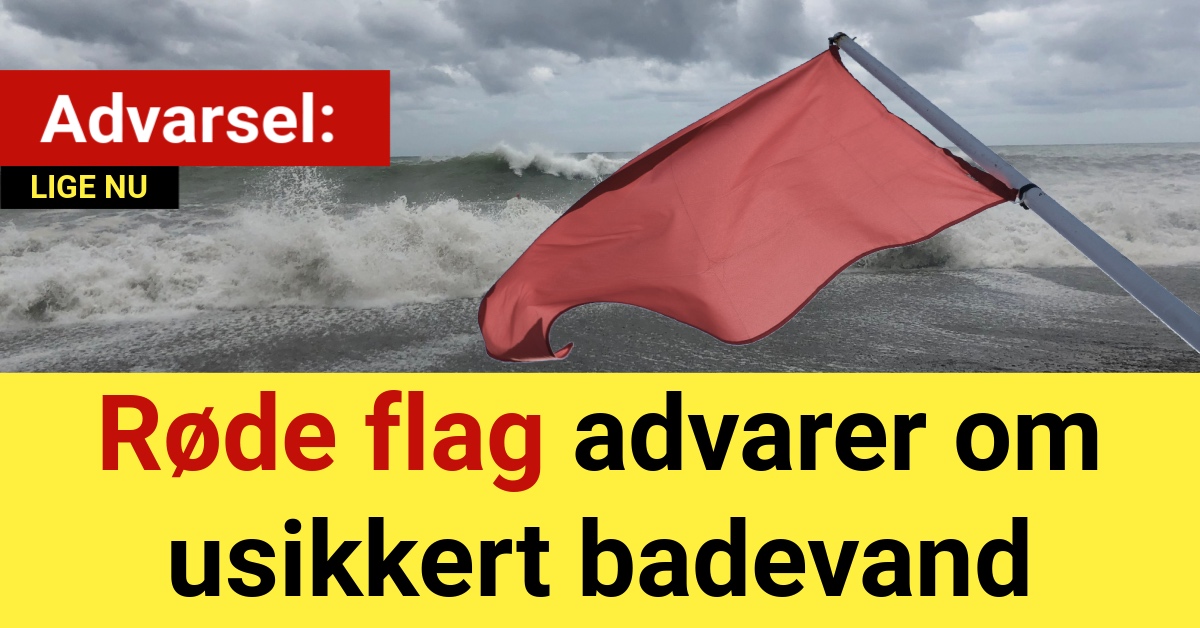 Advarsel: Røde flag advarer om usikkert badevand