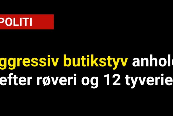 Aggressiv butikstyv anholdt efter røveri og 12 tyverier