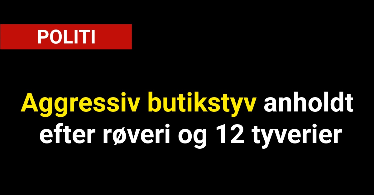 Aggressiv butikstyv anholdt efter røveri og 12 tyverier