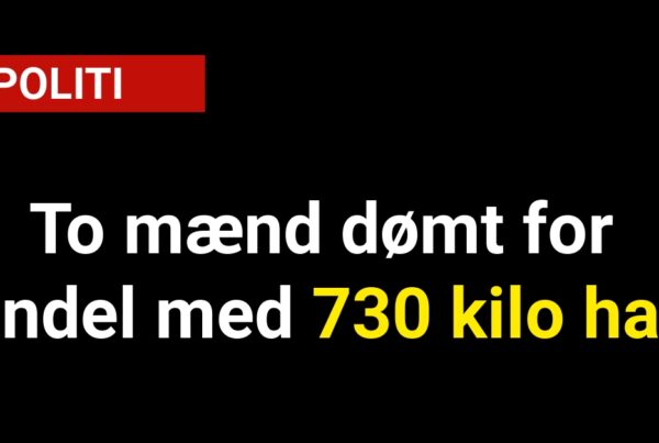 To mænd dømt for handel med 730 kilo hash