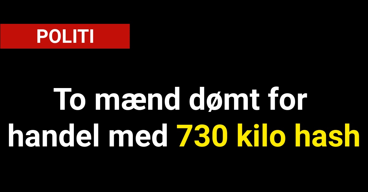 To mænd dømt for handel med 730 kilo hash