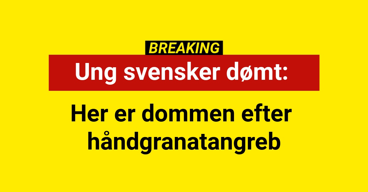 DØMT: Ung svensker har modtaget sin dom efter håndgranat angreb