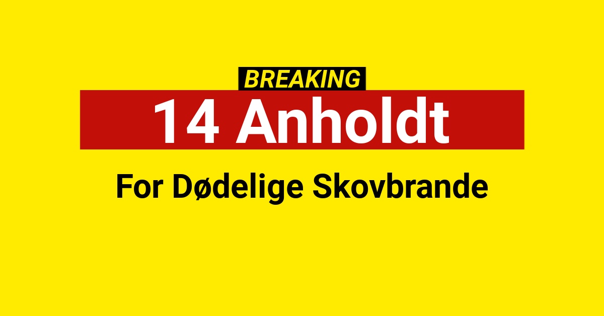 14 Anholdt for Dødelige Skovbrande14 Anholdt for Dødelige Skovbrande