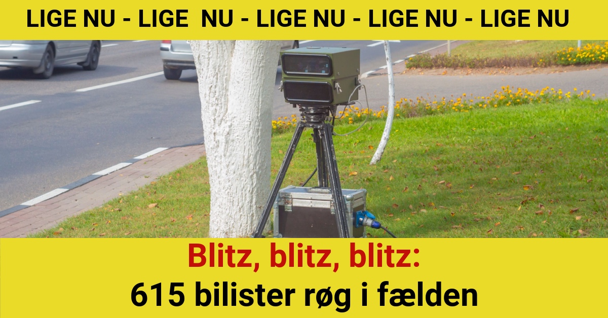 Blitz blitz blitz: 615 bilister røg i fælden