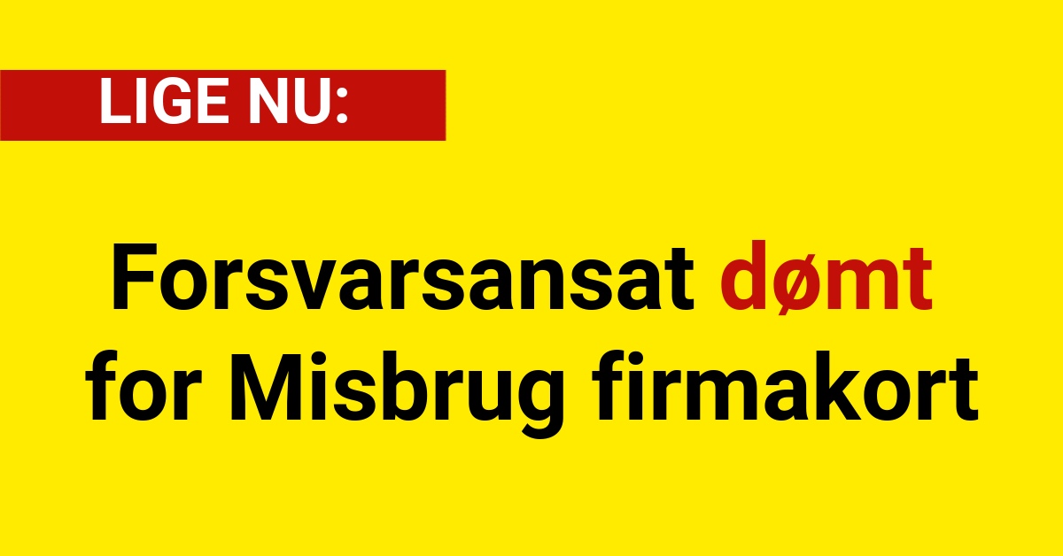 Forsvarsansat dømt for Misbrug firmakort