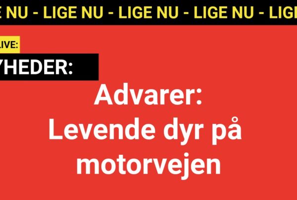 Advarer: Levende dyr på motorvejen