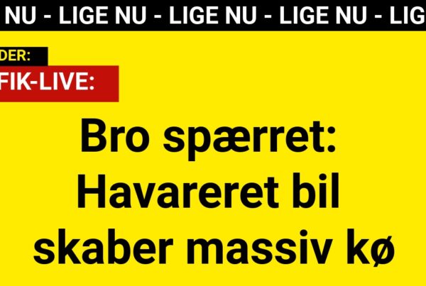 Bro spærret: Havareret bil skaber massiv kø