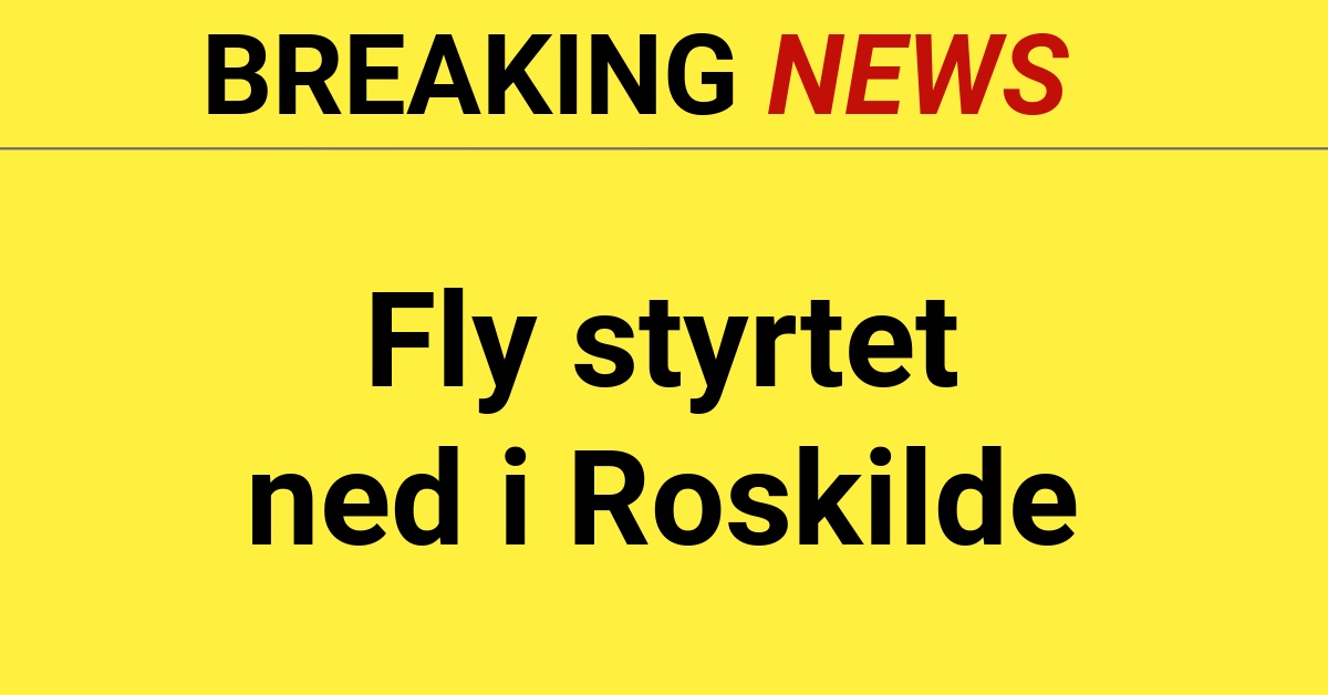 BREAKING: Fly styrtet ned i Roskilde