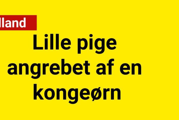 DRAMA: Lille Pige angrebet af en kongeørn