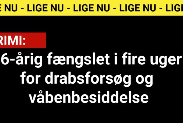 16-årig fængslet i fire uger for drabsforsøg og våbenbesiddelse