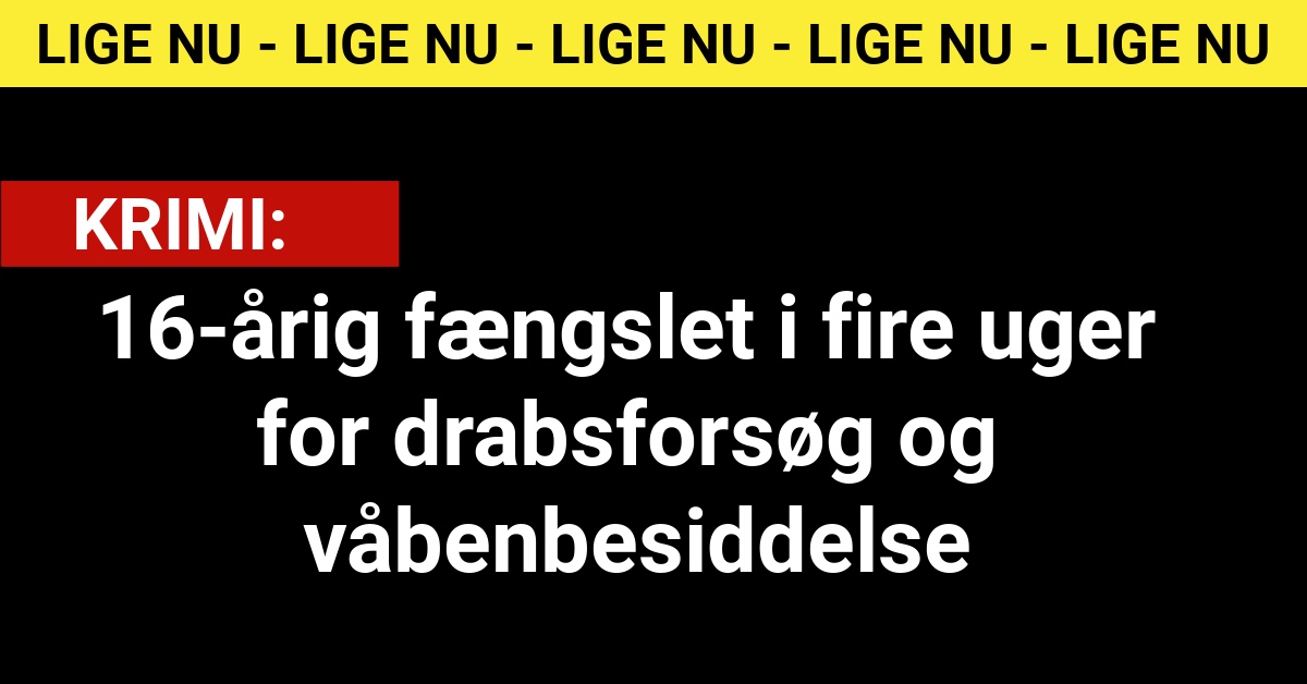 16-årig fængslet i fire uger for drabsforsøg og våbenbesiddelse