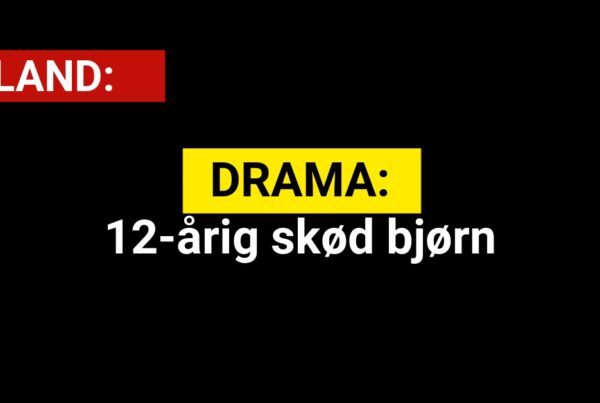 DRAMA: 12-årig skød bjørn