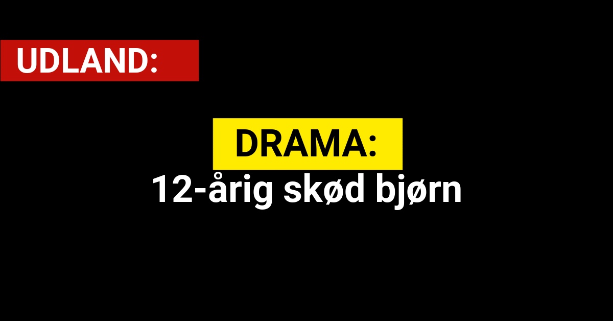 DRAMA: 12-årig skød bjørn