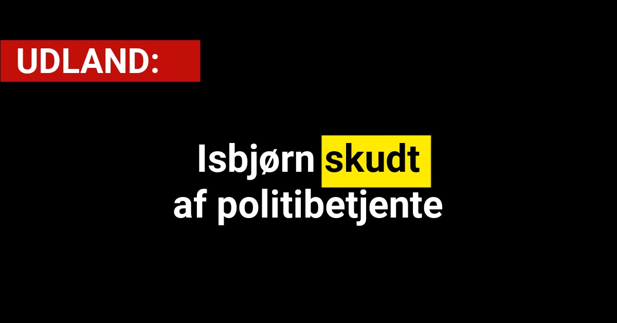 Isbjørn skudt af politibetjente